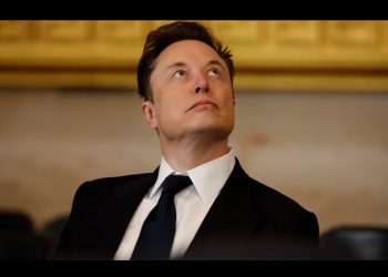 “Sólo las fuerzas militares estadounidenses pueden derrotar a los cárteles”, afirma Elon Musk; acusa que delincuentes operan libres