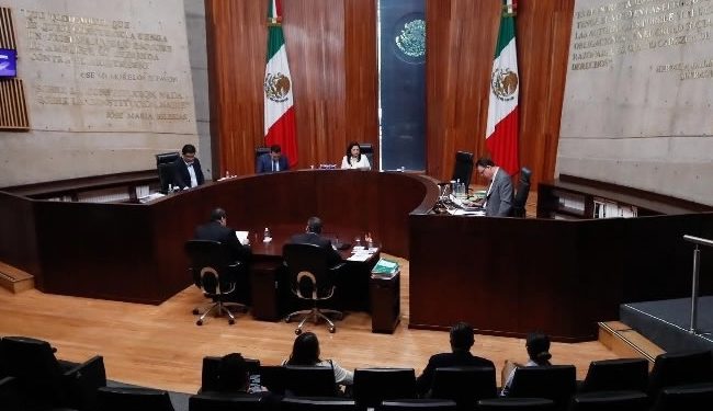 “Irreparables”, errores del proceso de selección de candidatos al PJ: TEPJF