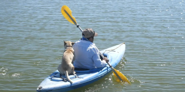 La Ciénega, principal humedal del noroeste de México