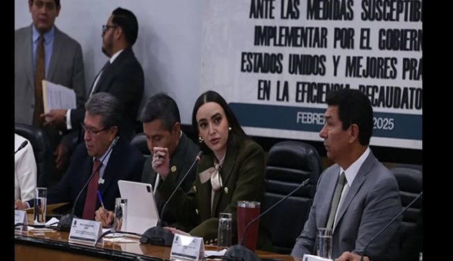 Pese a aranceles, México puede ser líder global en 2025, afirma Altagracia Gómez