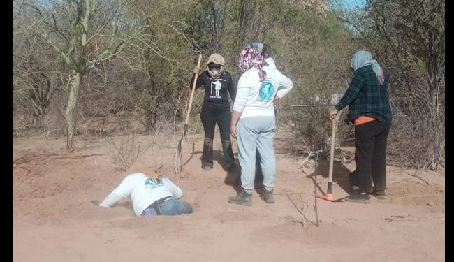 Hallan 53 osamentas en 36 fosas clandestinas en la costa de Hermosillo