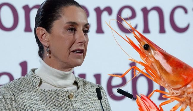 Camaroneros de Ecuador le responden a Sheinbaum: ‘El mundo parece tener un gusto más refinado’