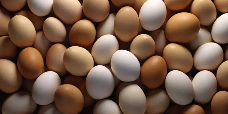 Precio y desabasto de huevo aumentan en EU por gripe aviar; comienzan a robarlo