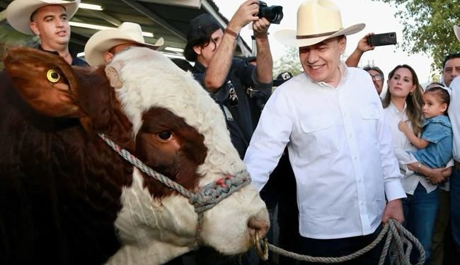 Se reactiva exportación de ganado sonorense con cruce de más de 3 mil cabezas a Estados Unidos