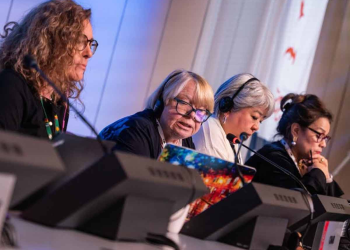 México queda mal parado ante CITES por no cumplir con protección de vaquita marina