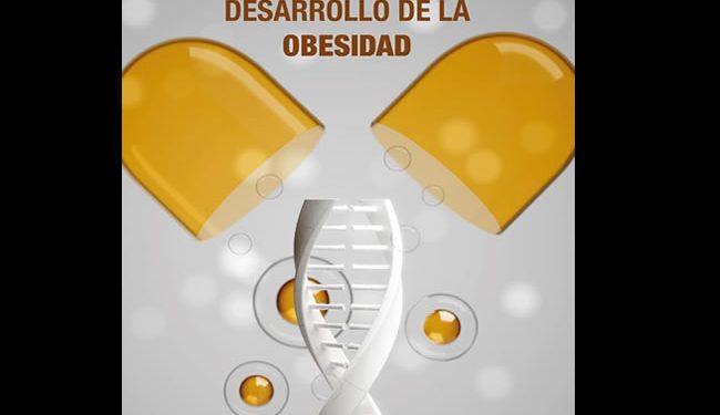 Genética influye en el desarrollo de la obesidad