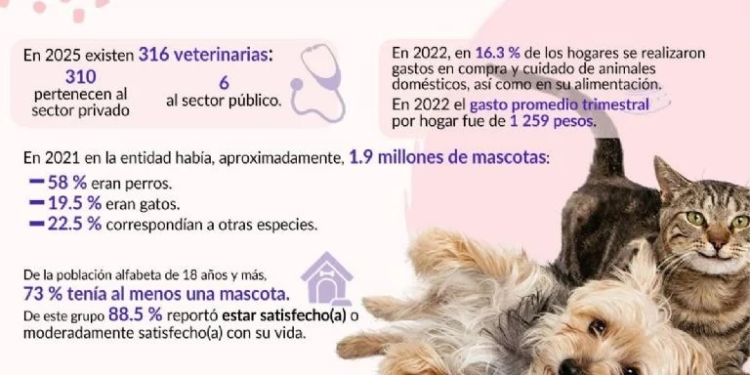 Cuestan mascotas mil 200 pesos trimestrales a sonorenses