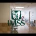 La ASF detecta irregularidades multimillonarias en estudios clínicos y anestesia en el IMSS