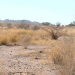 Declaran Semáforo Amarillo por Sequía Extrema y Escasez de Agua en Hermosillo