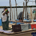 Ha sido desastrosa la temporada de camarón: Pescadores de Sinaloa y Sonora