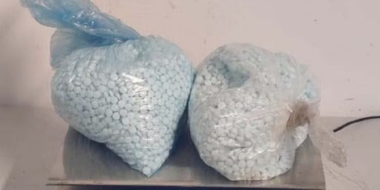 Revisan caseta de cobro en Sonora y aseguran más de 350 millones de pesos en droga sintética