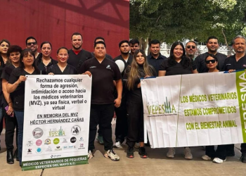 “Respeto y no violencia”: veterinarios marchan en los estados; exigen justicia por asesinato del médico Héctor Hernández