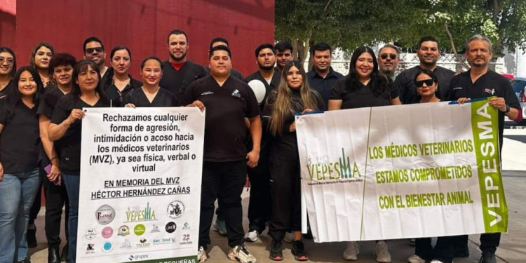 “Respeto y no violencia”: veterinarios marchan en los estados; exigen justicia por asesinato del médico Héctor Hernández