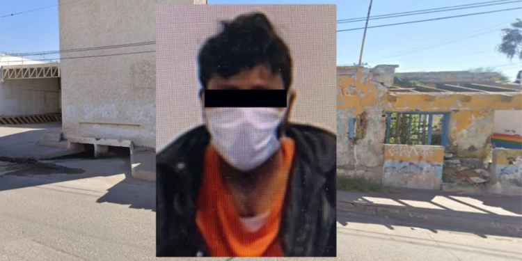 Le cayó la justicia: sujeto golpeó hasta la muerte a un gato y un cachorro en Guaymas