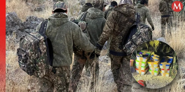 Patrulla Fronteriza intensifica detenciones y decomisos en la frontera Sonora-Arizona