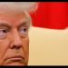 Trump da por cerrado el acuerdo de EE UU con Kiev sobre los minerales
