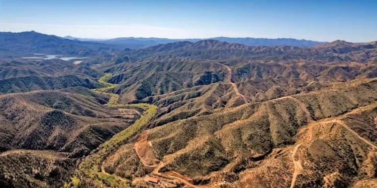 Gobierno inicia obras de Tren Fantasma sin permiso; acusan a México de violar T-MEC Ambiental