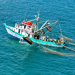 “No podemos hablar de sustentabilidad si no se resuelve la pesca ilegal”: director de consultora Humint
