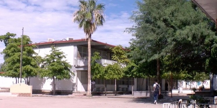 Inicia la Entrega de Tarjetas de la Beca Rita Cetina para Estudiantes en Sonora