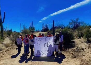 Colectivos de Sonora piden a crimen organizado “pacto de no agresión”; solicitan no ser agredidas cuando buscan a desaparecidos