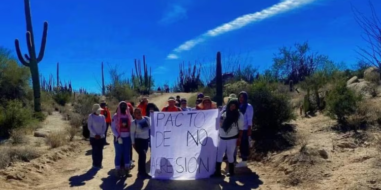 Colectivos de Sonora piden a crimen organizado “pacto de no agresión”; solicitan no ser agredidas cuando buscan a desaparecidos