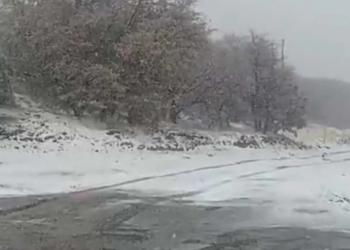Hoy Viernes 7 de Marzo Reportan Caída de Nieve en Carretera Ímuris-Cananea