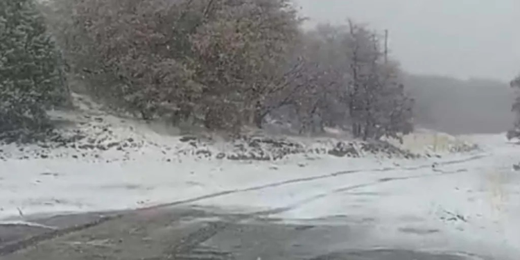 Hoy Viernes 7 de Marzo Reportan Caída de Nieve en Carretera Ímuris-Cananea