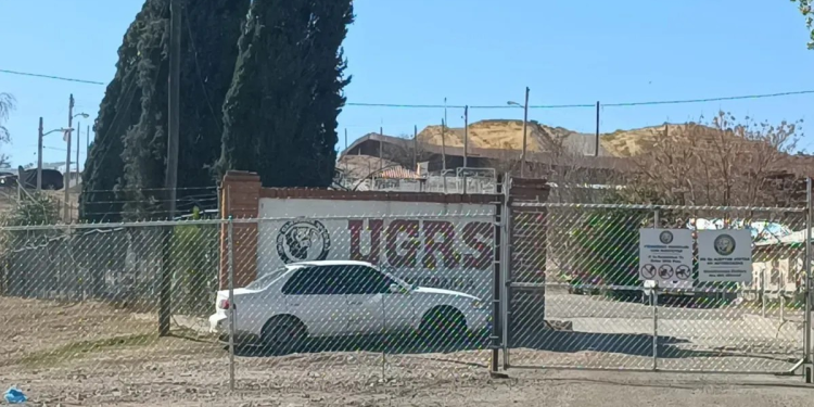 Suspenden exportación de ganado a EU por la frontera de Nogales; fueron detectadas llagas en un animal