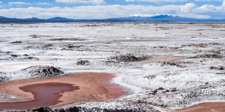 México pierde 250 millones de toneladas: Era una dura amenaza para China