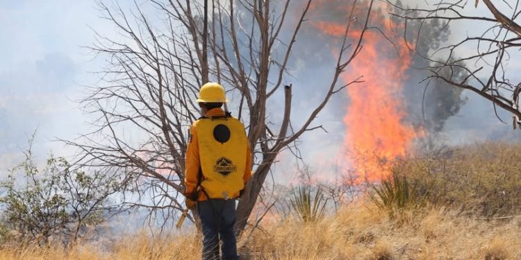 Sonora reporta reducción del 60% en incendios forestales