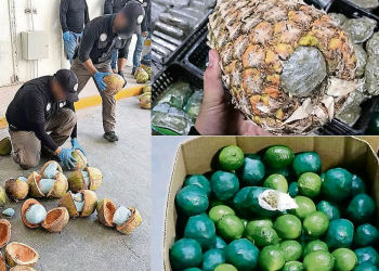 Descubren las mil y una maneras de camuflar droga