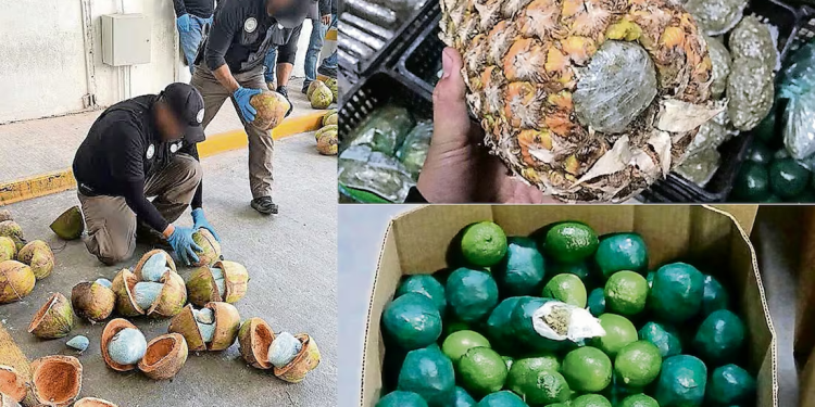 Descubren las mil y una maneras de camuflar droga