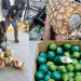 Descubren las mil y una maneras de camuflar droga