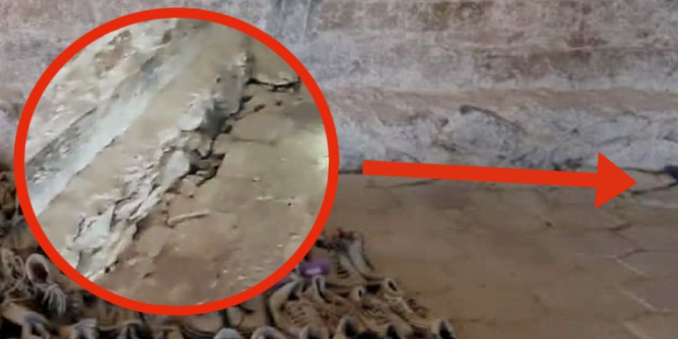 Teuchitlán | Buscadoras exigen inspección del suelo y paredes en el rancho Izaguirre