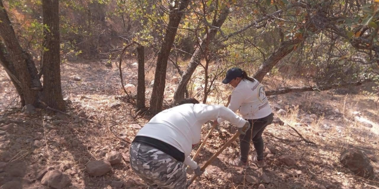 Hallan cuatro cuerpos en fosas clandestinas en Sonora
