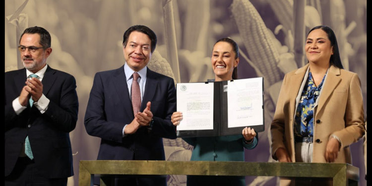 Sheinbaum firma la reforma que prohíbe la siembra de maíz transgénico