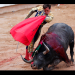 Presidenta mexicana respalda corridas de toros, pero propone que se debe evitar el maltrato animal