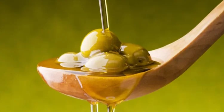 Sonora, un estado rico en producción de olivo y aceitunas