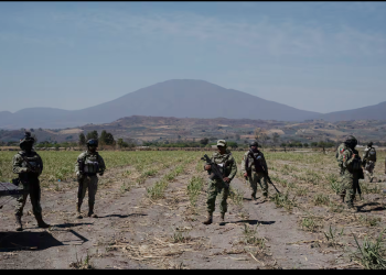 Encuesta | La inseguridad se consolida como principal preocupación para los mexicanos, en medio de la polémica por el ‘caso Teuchitlán’