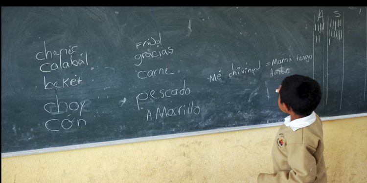 La escuela, vetada para los indígenas en México: cuatro de cada 10 no acuden a clases