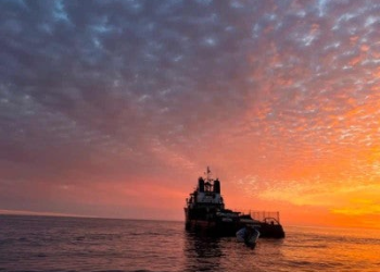 Sea Shepherd asegura presencia en hábitat de vaquita marina hasta 2030