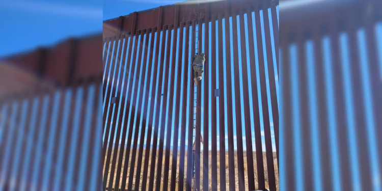 Patrulla Fronteriza detiene a cinco migrantes en Arizona; cruzaban el muro colgados de una cuerda