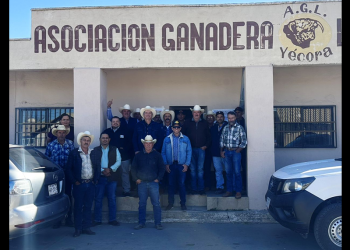 Actualiza Gobierno de Sonora a técnicos y productores sobre exportación de ganado