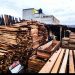 Lanza Trump nueva amenaza arancelaria para importación de madera