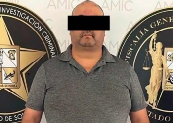 Aprehenden a sujeto por envenenar a cuatro gatitos en Sonora