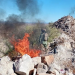 Destruyen campamentos de ‘halcones’ de criminales entre Sonora y Arizona
