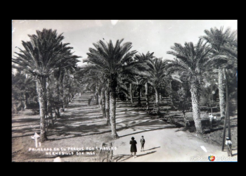El joven de la camisa blanca