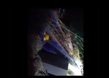 Encuentran otras 25 totoabas enredadas en el hábitat de la vaquita marina