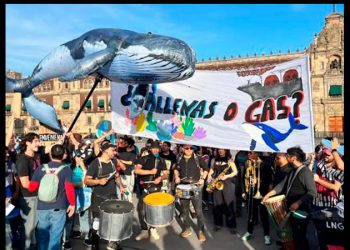 Proyecto Saguaro enfrenta 5 juicios de amparo y revisión de autoridades ambientales