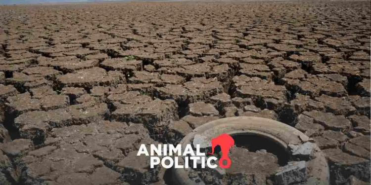 Sequía pega al 41% de México; proponen captar lluvia en todo el país